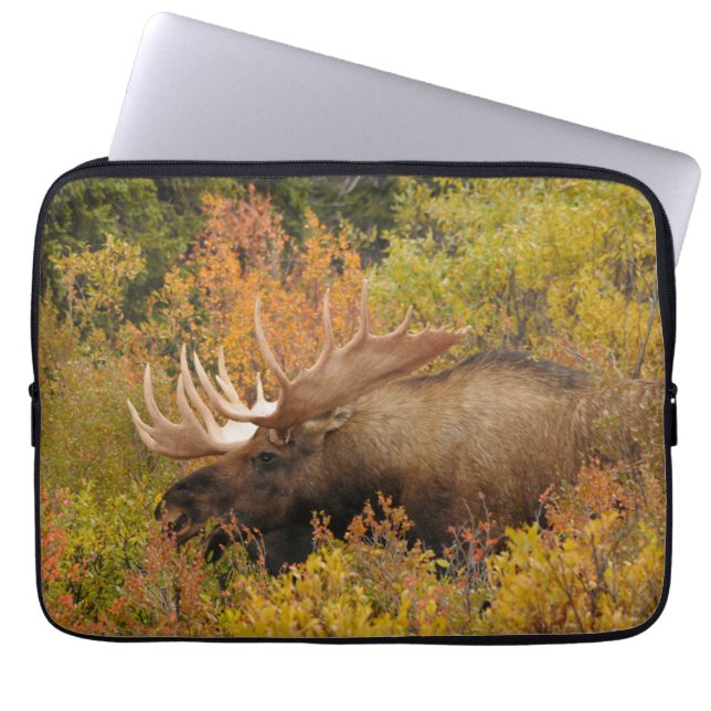 Bull Moose | Denali National Park, Alaska Laptop Sleeve (Front)