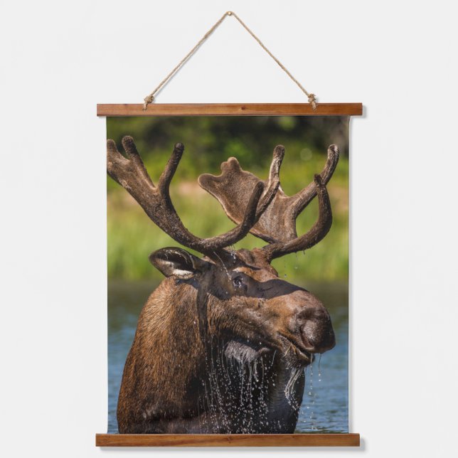 Bull Moose | Glacier National Park Montana Hanging Tapestry (Front)