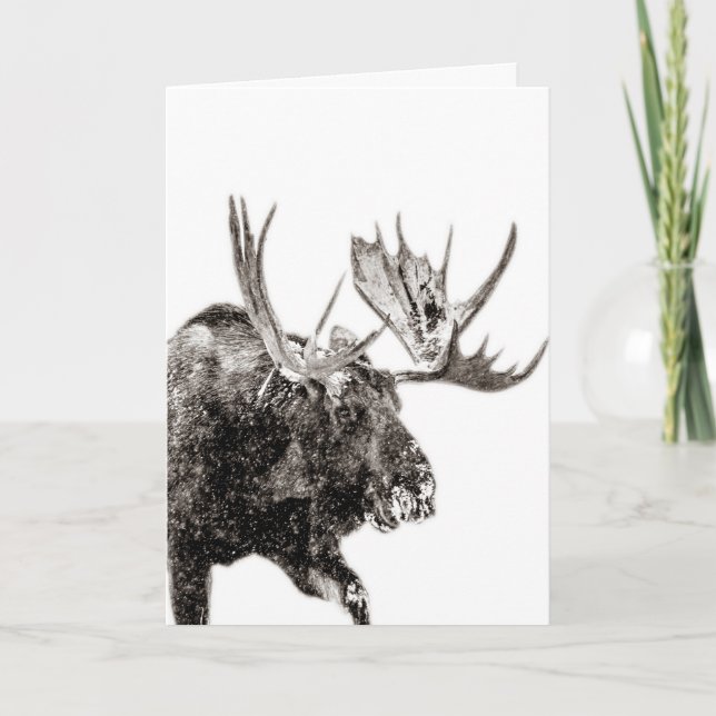 Bull Moose in Snow Greeting Card (Front)
