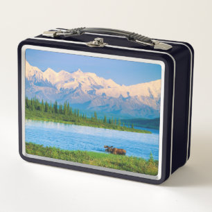 Bull moose in Wonder Lake Metal Lunch Box