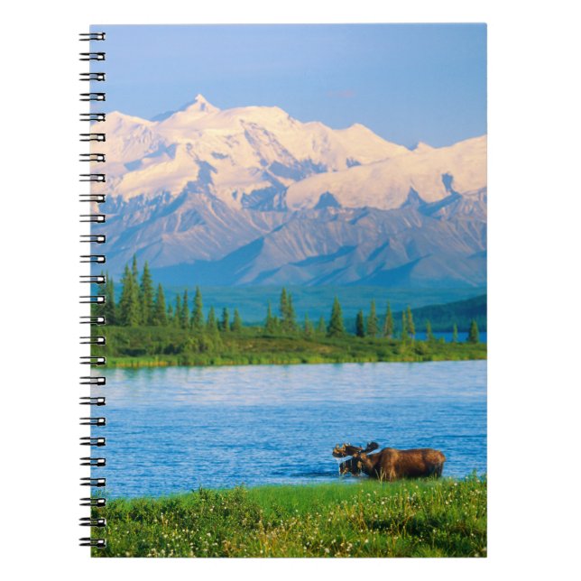 Bull moose in Wonder Lake Notebook (Front)