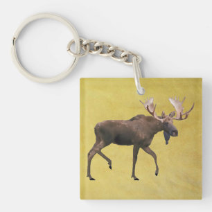Bull Moose Key Ring