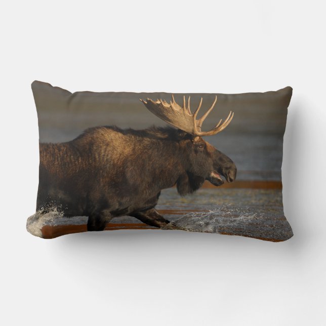 Bull Moose Lumbar Cushion (Front)