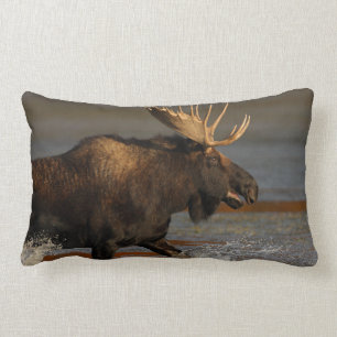 Bull Moose Lumbar Cushion