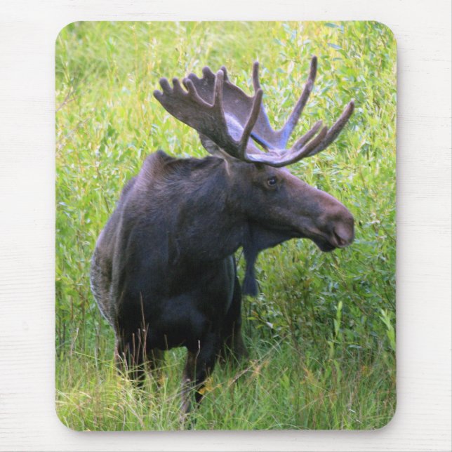 Bull Moose Mouse Pad (Front)