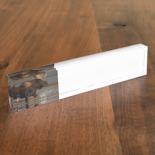 Bull Moose Nameplate (Side)