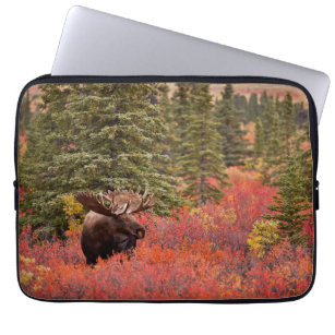 Bull Moose Standing In Red Dwarf Birch Laptop Sleeve