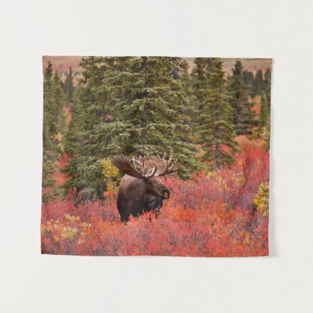 Bull Moose Standing In Red Dwarf Birch Tapestry (Front (Horizontal))