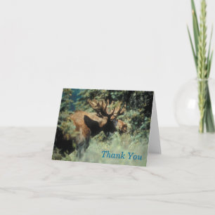 bull moose thank you Note Card