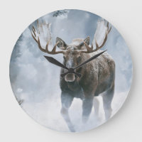 Bull Moose Walking Through Boreal Snow