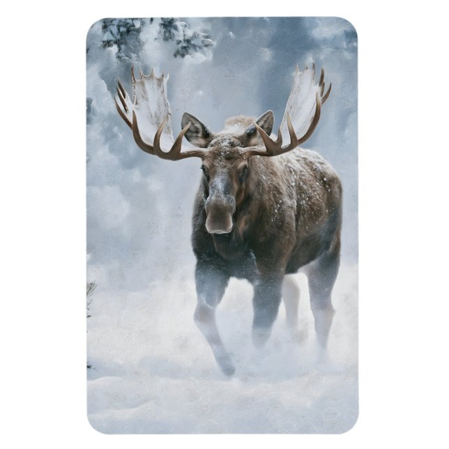 Bull Moose Walking Through Boreal Snow Magnet (Vertical)
