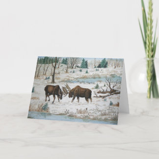 Bull Moose Wildlife Art Card