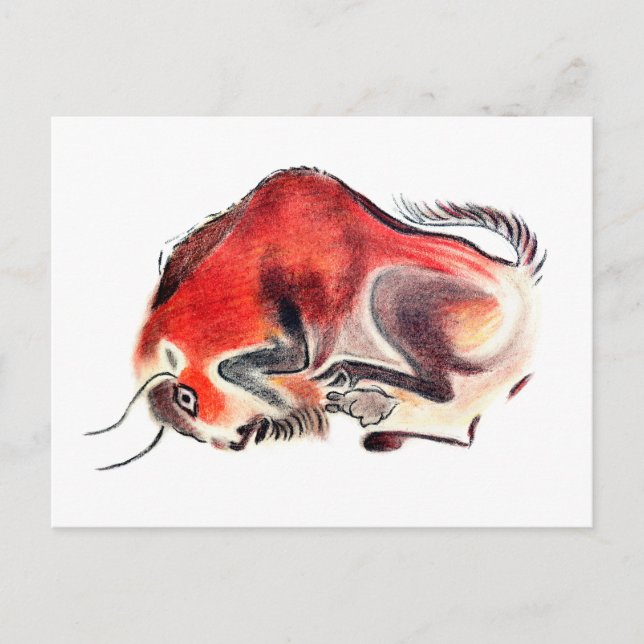 Bull Postcard (Front)