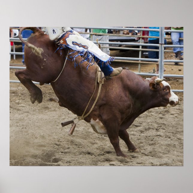 Bull rider at rodeo poster (Front)