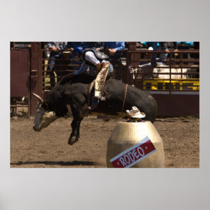 Bull rider hangs on for dear life poster