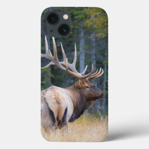 Bull Rocky Mountain Elk iPhone 13 Case