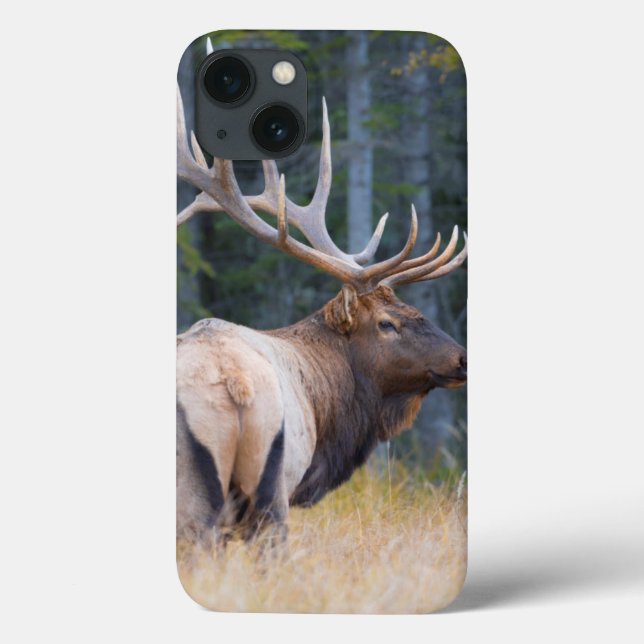 Bull Rocky Mountain Elk Case-Mate iPhone Case (Back)