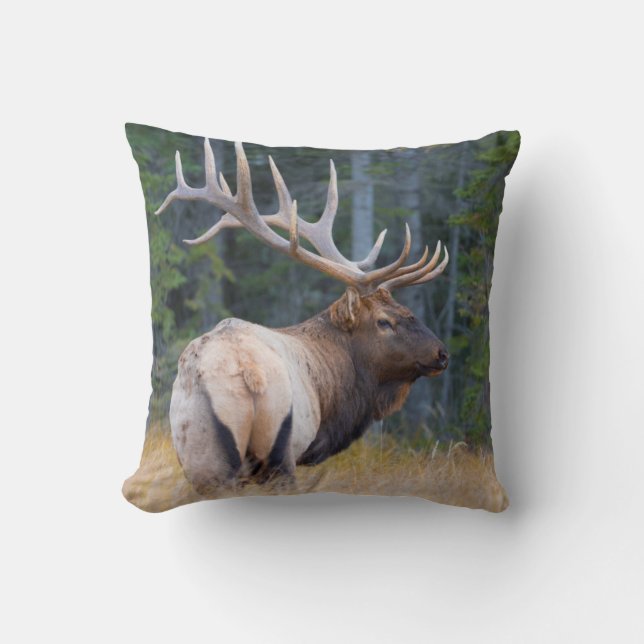 Bull Rocky Mountain Elk Cushion (Front)