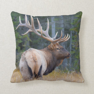 Bull Rocky Mountain Elk Cushion
