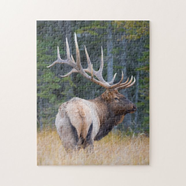 Bull Rocky Mountain Elk Jigsaw Puzzle (Vertical)
