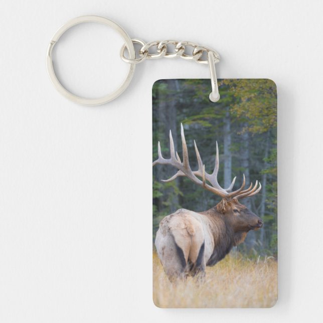 Bull Rocky Mountain Elk Key Ring (Front)