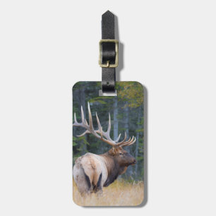 Bull Rocky Mountain Elk Luggage Tag