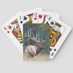 Bull Rocky Mountain Elk Playing Cards