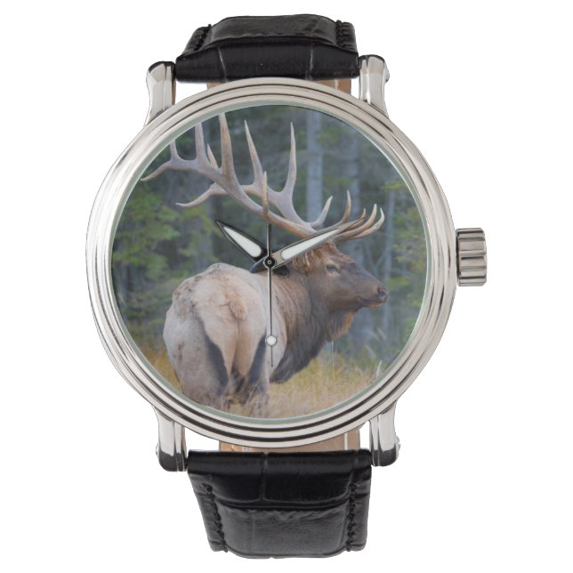 Bull Rocky Mountain Elk Watch (Front)