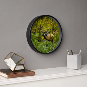 Bull Roosevelt Elk Clock