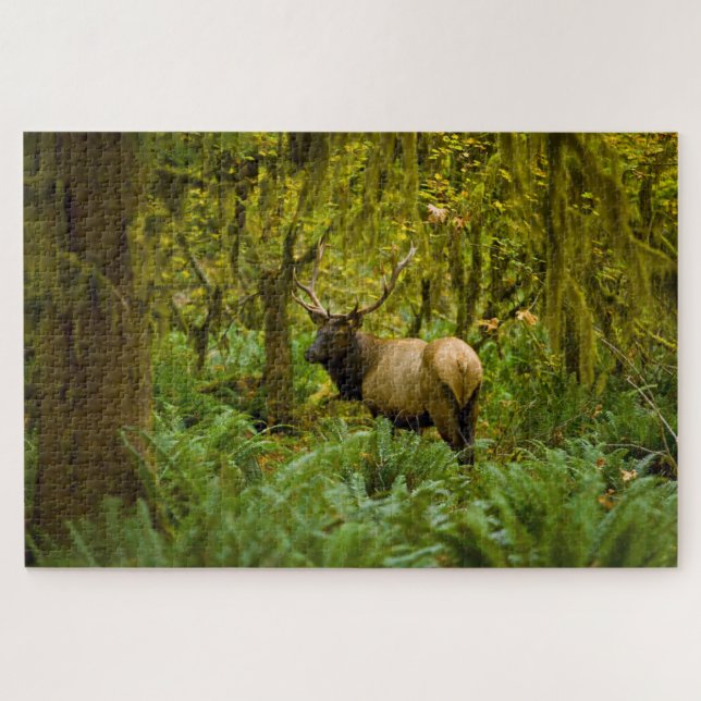 Bull Roosevelt Elk Jigsaw Puzzle (Horizontal)