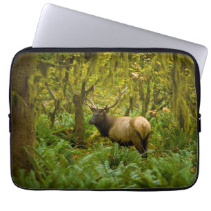 Bull Roosevelt Elk Laptop Sleeve