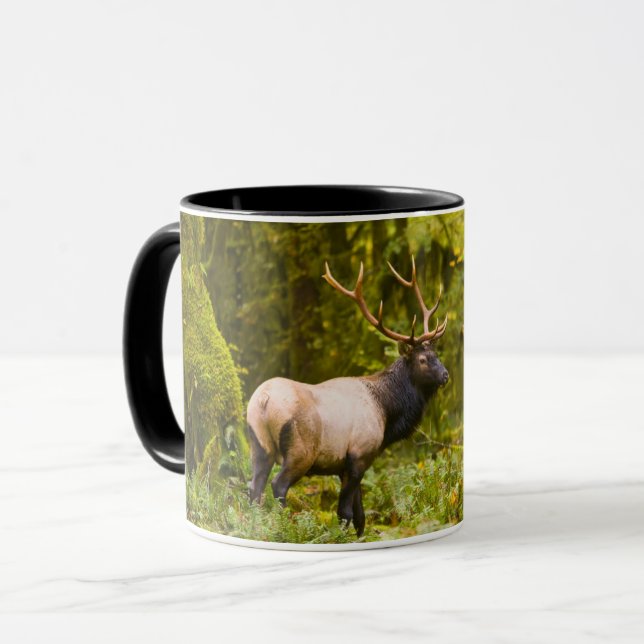 Bull Roosevelt Elk Standing In Meadow Mug (Front Left)