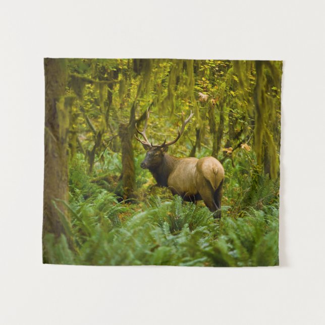 Bull Roosevelt Elk Tapestry (Front (Horizontal))