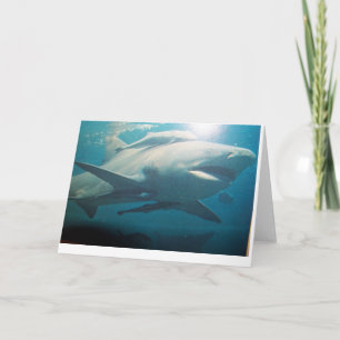 Bull Shark greeting card