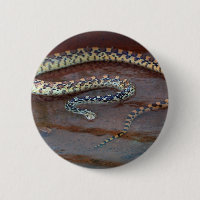 Bull Snake