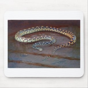Bull Snake Mouse Pad