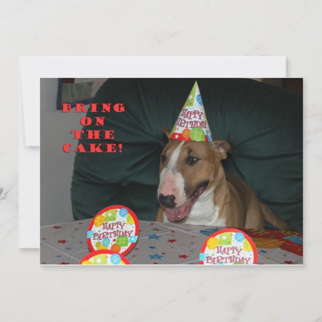 Bull Terrier Birthday Party Invitations (Front)