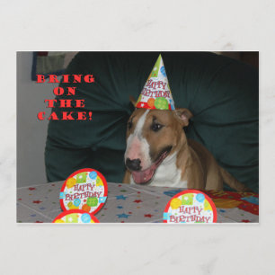 Bull Terrier Birthday Party Invitations