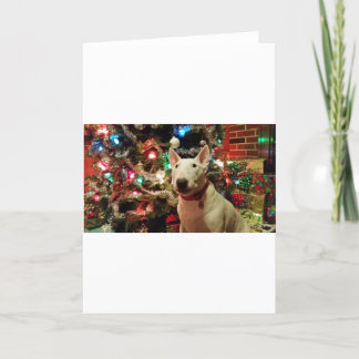 bull terrier Christmas present tree Holiday Card