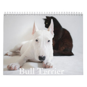 Bull Terrier Dog Calendar