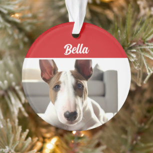 Bull Terrier Dog Holiday Photo Christmas Ornament