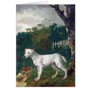 Bull Terrier Painting - Vintage Fine Art