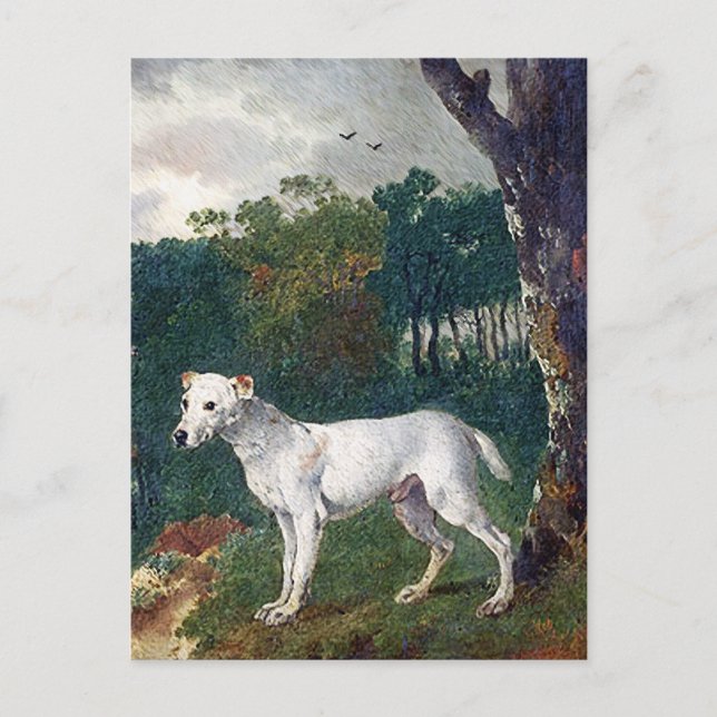 Bull Terrier Painting - Vintage Fine Art Postcard (Front)