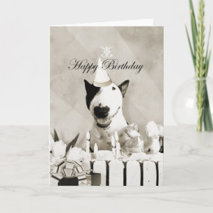 Bull Terrier Photo Card "Happy Birthday"
