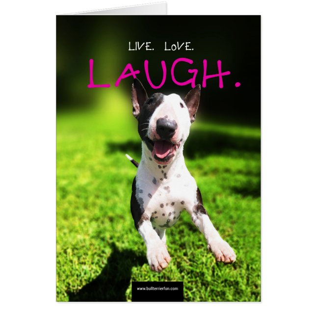 Bull Terrier Photo Card "Live, Love, Laugh" (Front)