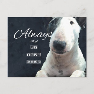 Bull Terrier Postcard "Always by your side"
