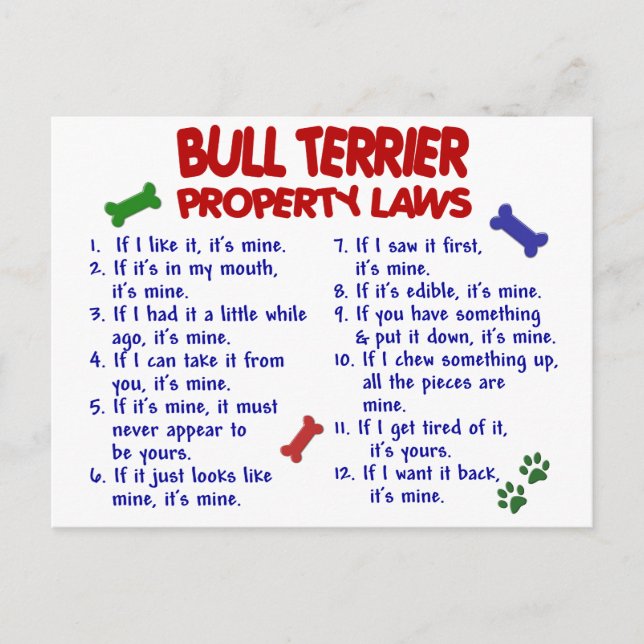 BULL TERRIER Property Laws 2 Postcard (Front)