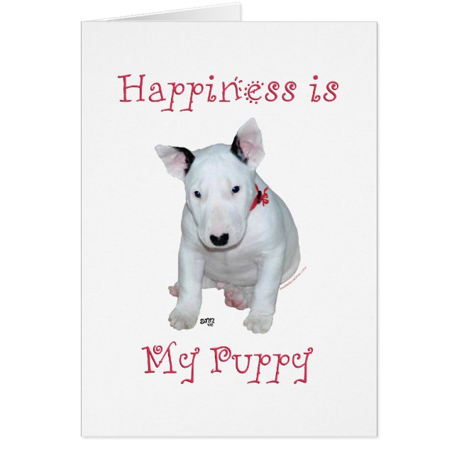 Bull Terrier Puppy (Front)