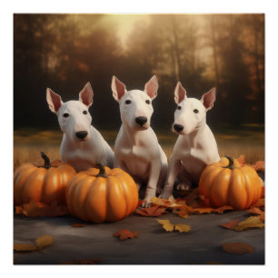Bull Terrier Puppy Autumn Delight Pumpkin Poster