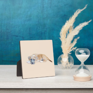 Bull Terrier Puppy Chillout Time, Plaque